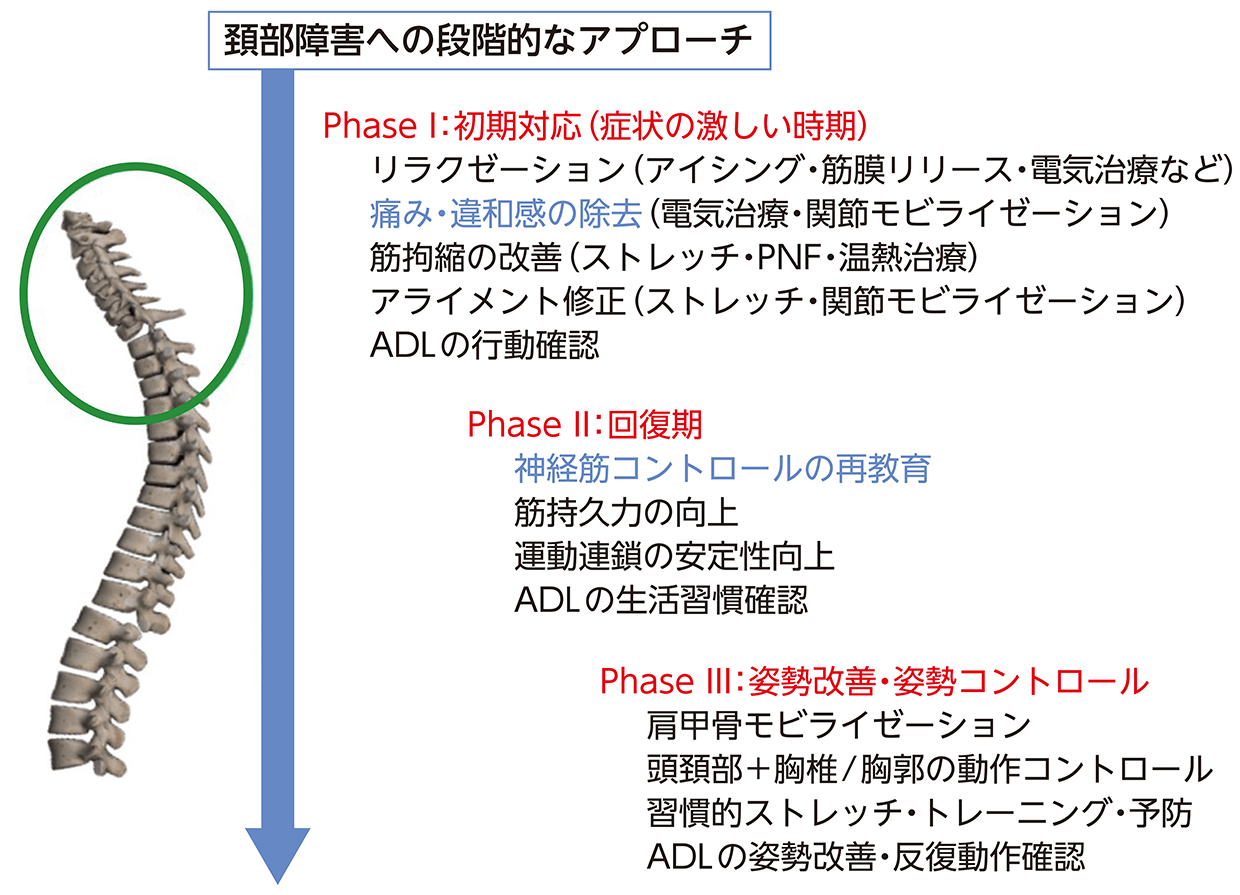Know more about Rehab:頚椎疾患・障害に対するアスレティック