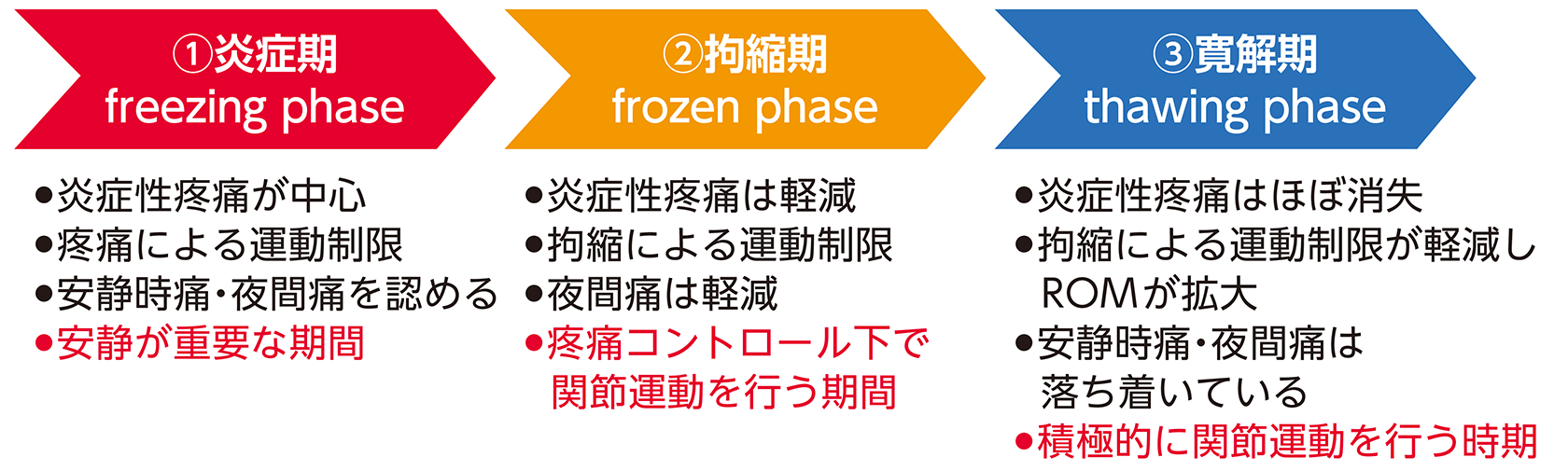 Know more about Rehab:肩関節周囲炎（五十肩） | ORTHO Times | 科研